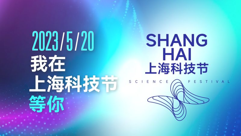 数据服务报价单，揭秘企业选择背后的关键要素